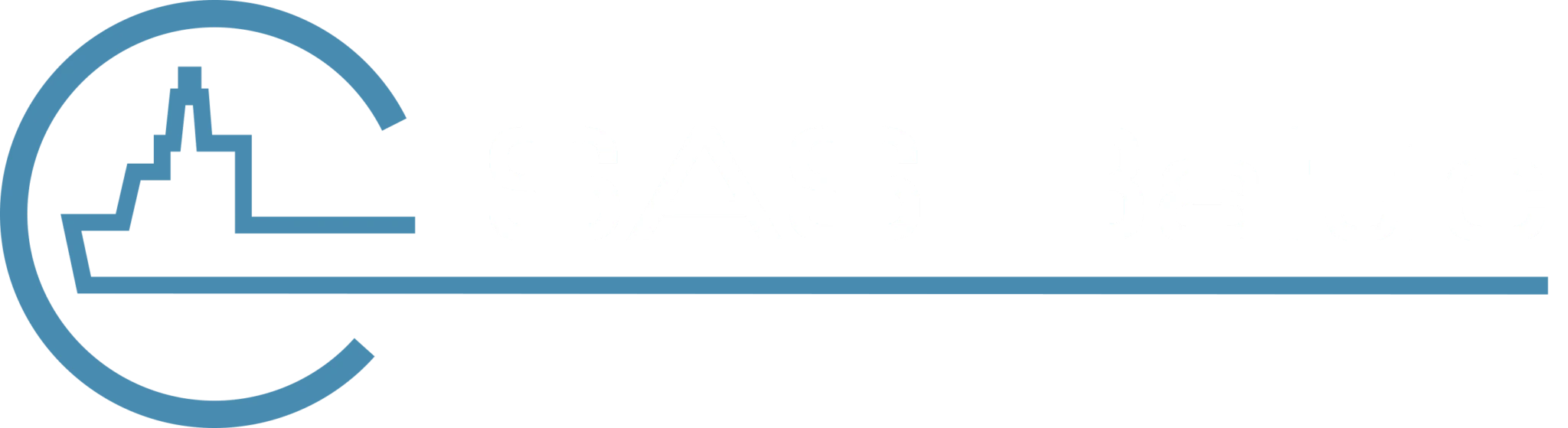 SAS Baltic Logo